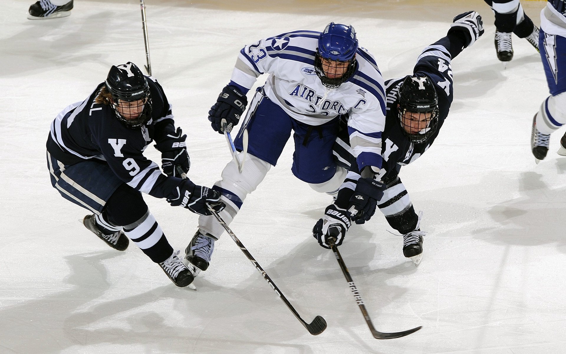 中国竞走队再创佳绩 世界大赛斩获双金