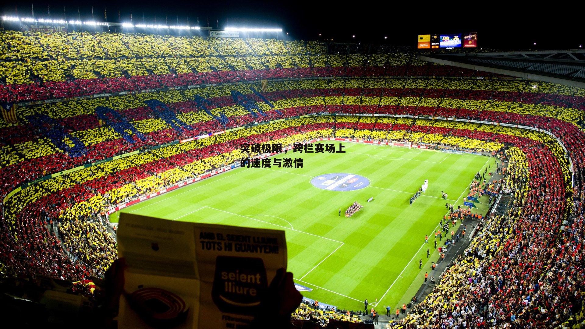 突破极限,跨栏赛场上的速度与激情